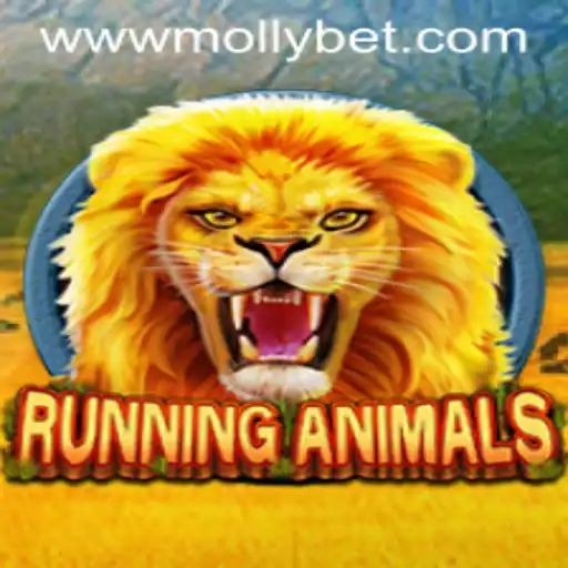 Unlock the Thrill: Discover RunningAnimals and Its Dynamic World of Betting with Mollybet